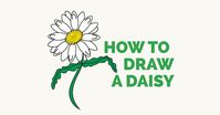 How to Draw a Daisy Flower. Easy to Draw Art Project for Kids. See the Full Drawing Tutorial on https://easydrawingguides.com/how-to-draw-a-daisy-flower/ . #Daisy #Flower #HowToDraw #ValentinesDay