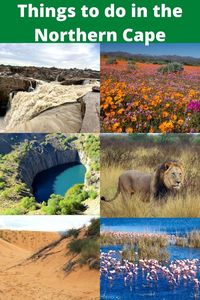 8 Things to do in the Northern Cape … and some thoughts about the province 11