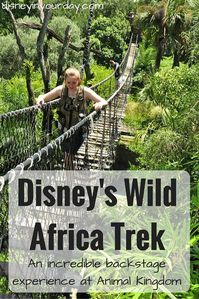 Disney's Wild Africa Trek - Disney in your Day