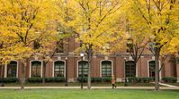 depaul university fall - Google Search