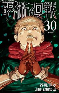 #jujutsukaisen manga volume cover 30 #itadori