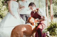 Apothecary vibes meet the sweet South at this South Carolina wedding | Offbeat Bride