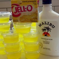 St Patricks Day Cocktail Recipes for a Crowd #jelloshotrecipes Piña Colada Jello Shooters