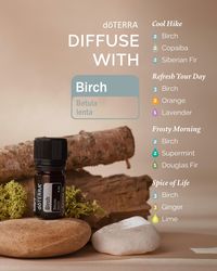 Whether you’re gearing up for... - doTERRA Essential Oils USA