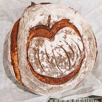 Brown Sugar Cinnamon Swirl Sourdough Bread - Hatten Homestead