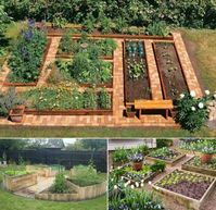 Vegetable garden for backyard #vegetablegarden