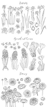 Daffodils - 24 elements Hyacinth - 12 elements Crocuses - 5 elements Buttercup - 16 elements