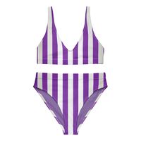 Purple Linear Luxe High-Waisted Bikini 2 Pieces