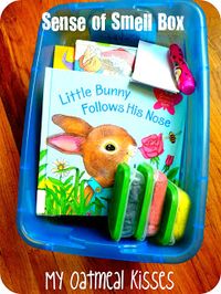 Five Senses Quiet Time Boxes - great ideas for incorporating our five senses theme into centers and/or quiet time activities.