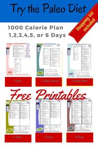 Printable 1000 Calorie Paleo Diet for 6 Days or less, grocery list included