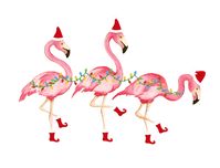 Hello my sweeties! I'm gearing up for the holidays and am having so much fun working on card designs :) I came up with these flamingos and...