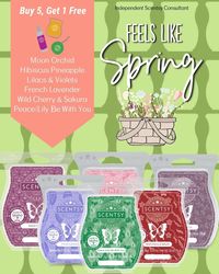 Create the perfect 6 pack with scentsy!  Discover the perfect home fragrance for you with Scentsy's fragrance wax bars.  Warm cubes in your Scentsy Warmer for long lasting home fragrance.   | Browse all available Scentsy Bars |