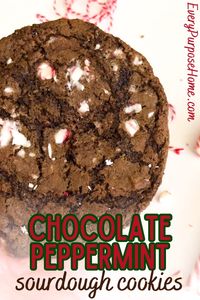 These chocolate peppermint sourdough cookies are perfect for a Christmas cookie exchange!