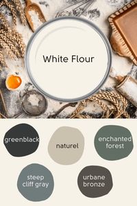 Sherwin Williams White Flour (Review, Comparisons, and Dupes!) – Mod & Mood