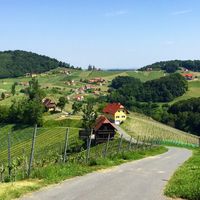 South Styria is a stunning region southwest of Vienna, Austria. The South Styrian Wine Road is perfect for a road trip wine route!