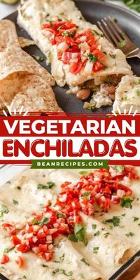 Out of easy dinner ideas for the family? These Vegetarian Enchiladas are made with six ingredients and are best served with enchilada sauce made of salsa and sour cream mixed together. What a quick and easy recipe for dinner!