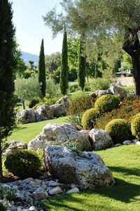 44 Italian Garden Designs for a Mediterranean Paradise