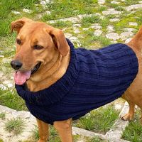 20 Beautiful Fall Dog Sweater Knitting Patterns