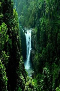 Want to see unbelievable nature at Tegenungan Waterfall, Bali? Contact me now at www.rudisbalitours.com so I can take you here!