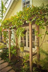 cute lil mini pergola...  looks like they used a ladder...  and I'm digging the placement over the window..  so cottage-y