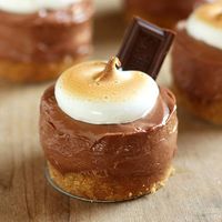 No-Bake S’mores Mini Cheesecakes from handletheheat.com