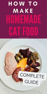 How to make cat food + healthy DIY recipes - Jess Caticles