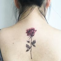 Inked Back Rose Flower