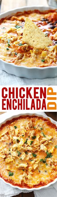 Cheesy Chicken Enchilada Dip