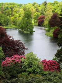 Stourhead House Lake, Wiltshire.  National Trust property and gardens. Photo by Kate Broadfield.