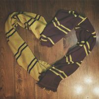 hufflepuff gryffindor lovers