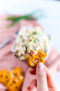 Easy Giardiniera Dip - bits and bites