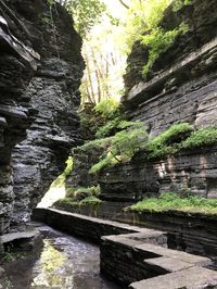 Robert H. Treman State Park, Ithaca, NY - A Nation of Moms