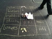 Information or Data Handling Activities Outdoors — Creative STAR Learning | I'm a teacher, get me OUTSIDE here!