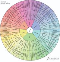 Emotion and feeling identification wheel