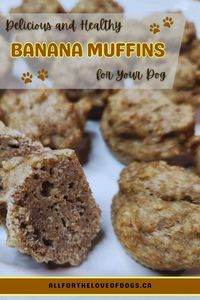 Treat your furry friend to these delicious and healthy banana muffins! 🍌🐾 Packed with nutritious ingredients, our easy-to-follow recipe ensures your dog gets the best homemade snacks. Discover the benefits of natural dog treats and learn how to customize them for your pet's dietary needs. Click to get the recipe and baking tips now! 🐶❤️ #DogTreats #HealthySnacks #BananaMuffinsForDogs #HomemadeDogTreats #DogLovers #PetRecipes #DogHealth #DIYDogTreats