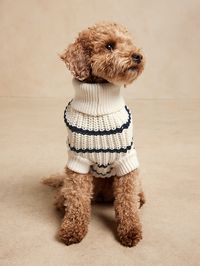 Mariner Stripe Dog Sweater | Banana Republic