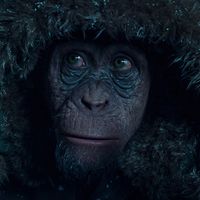 ➤ WAR OF THE PLANET OF THE APES; bad ape. Bad ape icons. Planet of the apes icons. movie icons. Bad ape planet of the apes. bad ape pota icons. planet of the apes Films. planet der affen. Bad Ape planet der affen #badape   #planetoftheapes  #waroftheplanetoftheapes #icons .