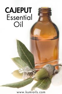 Are you seeking natural solutions for respiratory issues and relaxation? Explore the wonders of Cajeput Essential Oil in this comprehensive guide!