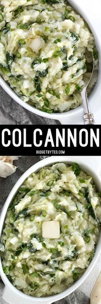 Colcannon is a simple Irish recipe that combines two hearty but inexpensive ingredients to make a delicious and filling side dish. @budgetbytes