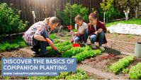 Garden plants need specific companions to help them grow stronger, deter pests, increase crop yields and improve soil health.