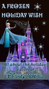 A guide to everything that takes place at Disney World during the holiday season + tips & videos