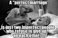 perfect marriage