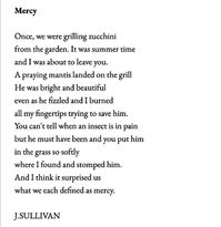 Mercy by J. Sullivan