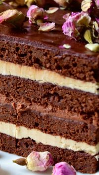 Opera Cake Recipe ~ It tastes amazing!