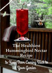 This healthy hummingbird nectar recipe and glass feeders will keep those pretty hummingbirds coming back to your garden year after year.