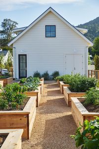 Contemporary Farmhouse New Construction (Hoffman-Yountville, Napa) - Farmhouse - Landscape - San Francisco - by Holder Parlette Architecture + Landscapes