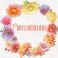 Chrysanthemum | gonecoastaltwo 