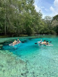 Explore the Florida Springs in Florida 👀💧