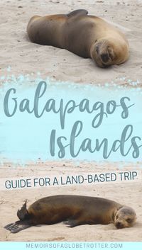 Ever wondered how to visit the Galapagos Islands without a cruise? Check out this guide to a land-based Galapagos trip and you will learn about day trips, what to eat, and where to stay.