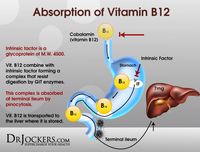 Warning Signs That You Have a B12 Deficiency - DrJockers.com